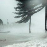 A Florida Property Insurance Perspective - Windstorm (Hurricane)