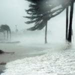 After the Hurricane: Restoring Your Property