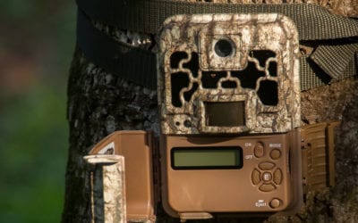Trail cameras are not just for hunting… protect your property.